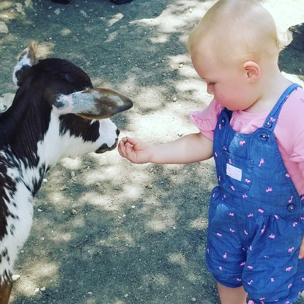 Meet your Posher, Chelsea